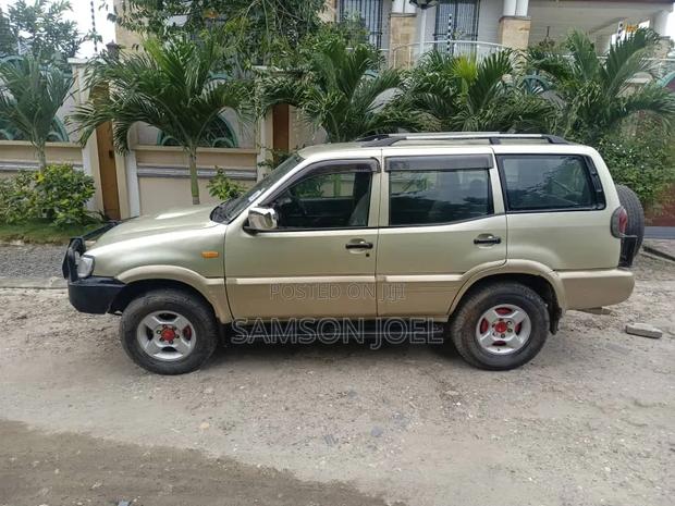 Nissan Terrano 2004 Gold