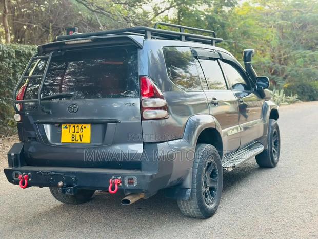 Toyota Land Cruiser Prado 2004 Gray