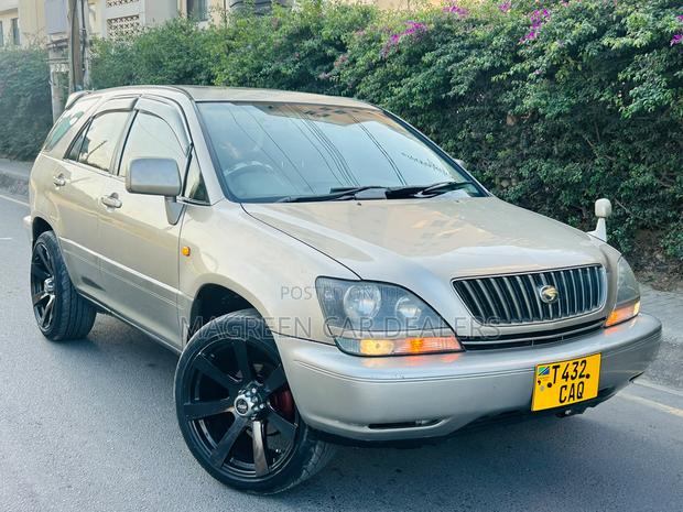 Toyota Harrier 2002 Gold