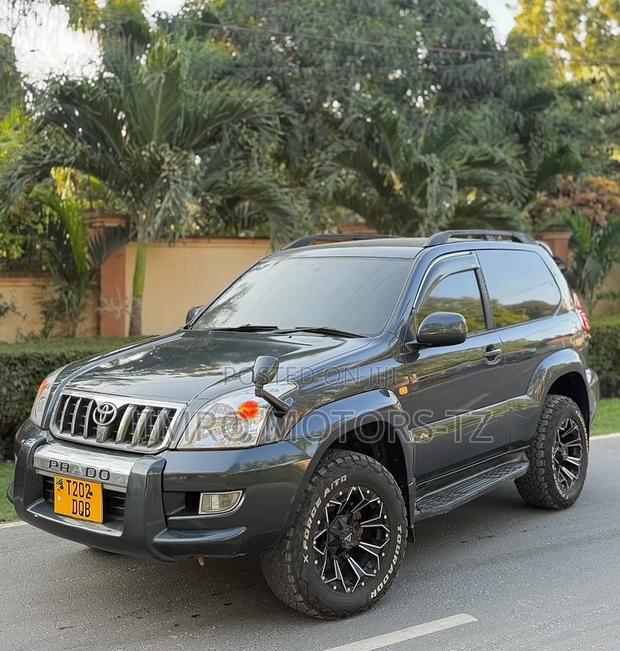 Toyota Land Cruiser Prado 2004 Gray