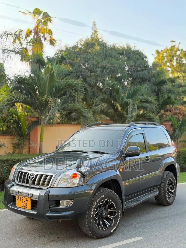 Toyota Land Cruiser Prado 2004 Gray