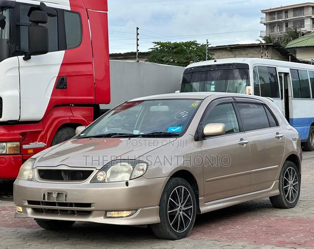 Toyota Allex 2005 Gold