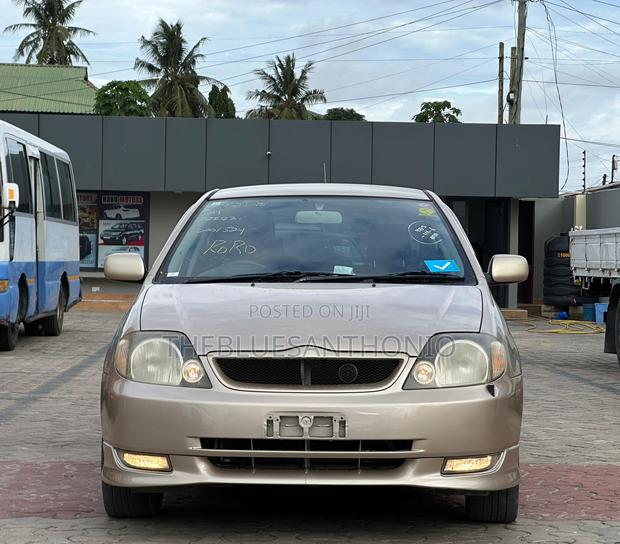 Toyota Allex 2005 Gold