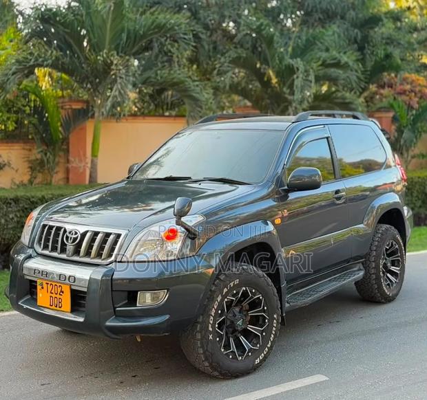 Toyota Land Cruiser Prado 2004 Gray