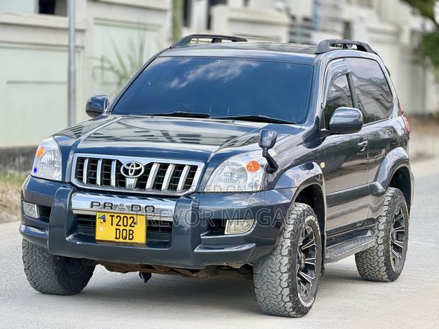 Toyota Land Cruiser Prado 2004 Gray