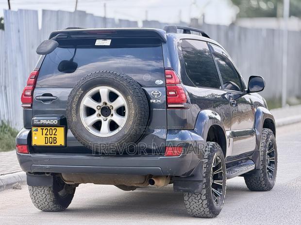 Toyota Land Cruiser Prado 2004 Gray
