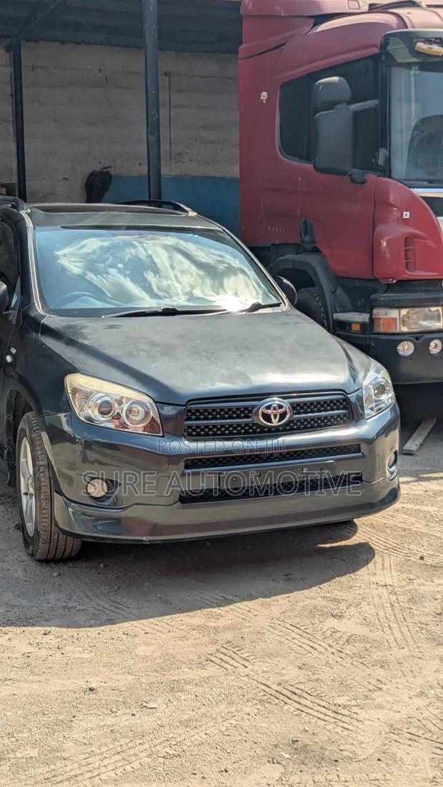 Toyota RAV4 2007 Gray