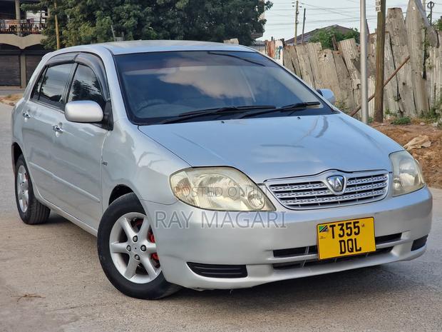 Toyota Allex 2002 Silver