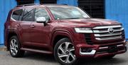 Toyota Land Cruiser LC300 2023 Burgundy for sale