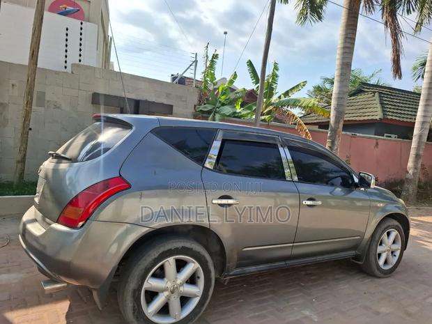 Nissan Murano 2005 Silver