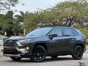 Toyota RAV4 2019 Gray for sale