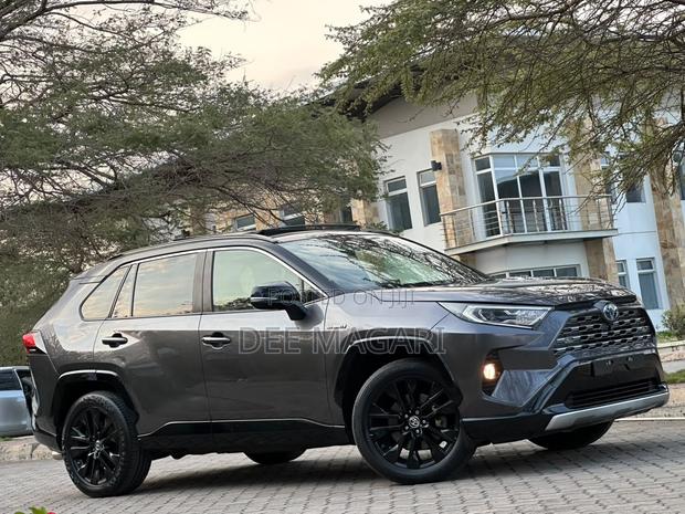 Toyota RAV4 2019 Gray