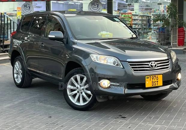 Toyota Vanguard 2010 Gray