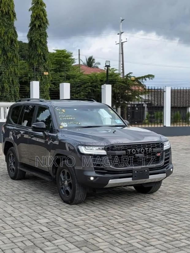 Toyota Land Cruiser 2024 Gray