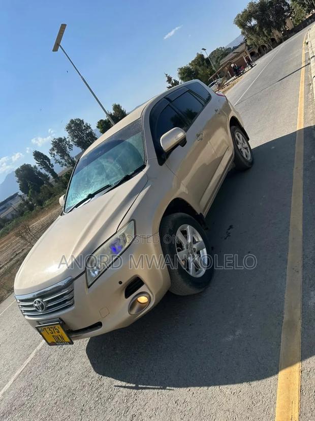 Toyota Vanguard 2007 Brown
