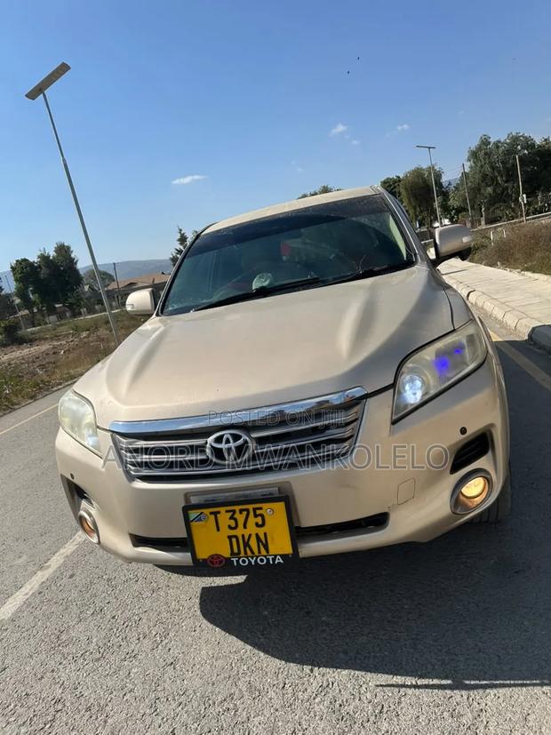 Toyota Vanguard 2007 Brown
