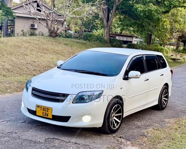 Toyota Corolla Fielder 2010 White