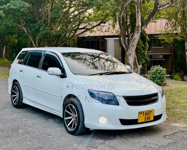 Toyota Corolla Fielder 2010 White