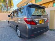 Toyota Alphard 2009 Gray for sale