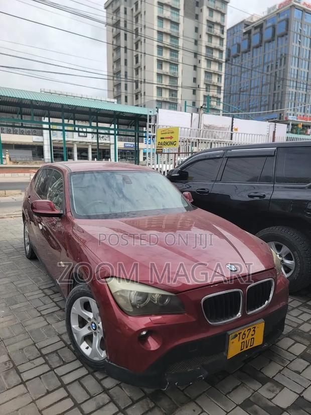 BMW X1 2010 Maroon