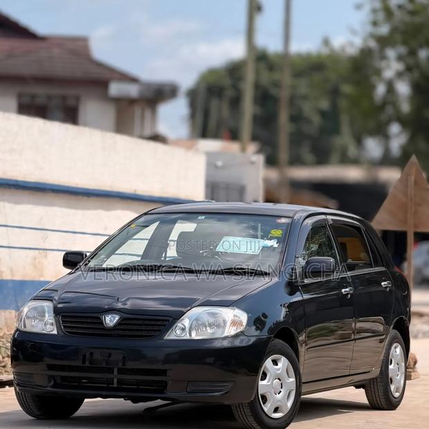 Toyota Allex 2003 Black