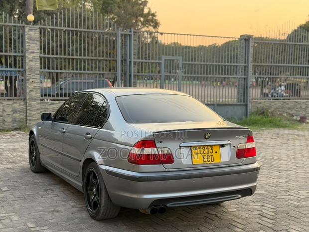 BMW 3 Series 2010 Gray