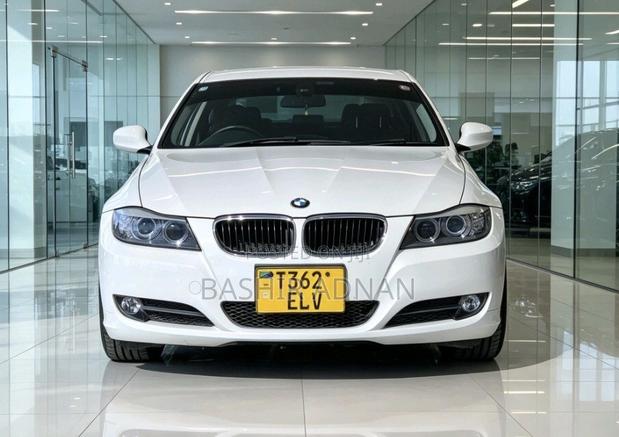BMW 3 Series 320i RWD 2010 White