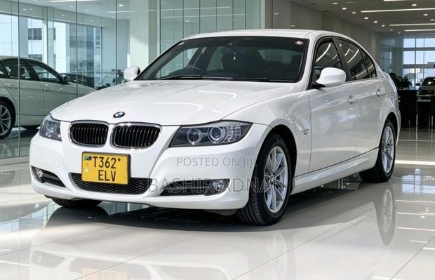 BMW 3 Series 320i RWD 2010 White