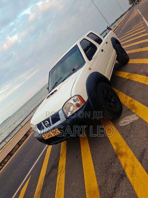 Nissan Hardbody 2004 White