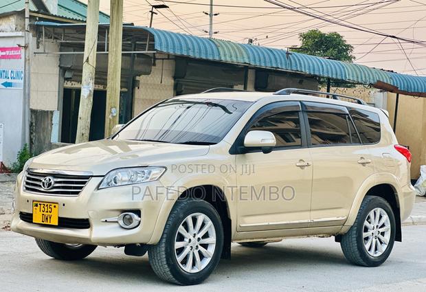 Toyota Vanguard 2010 Beige