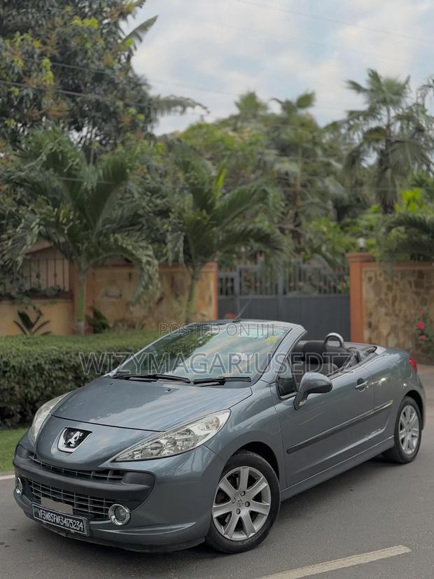 Peugeot 207 2007 Gray