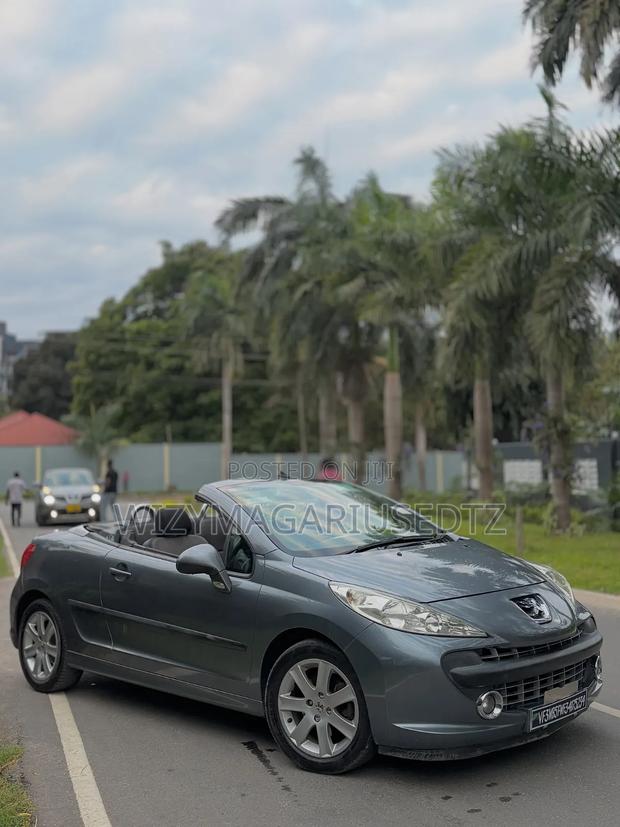 Peugeot 207 2007 Gray