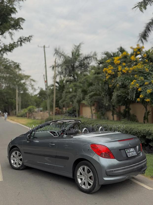 Peugeot 207 2007 Gray