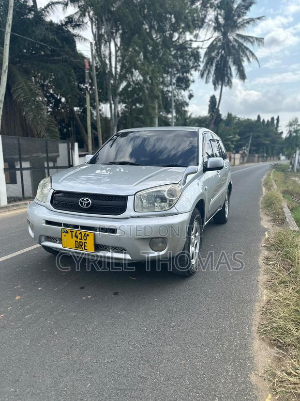 Toyota RAV4 2005 Silver
