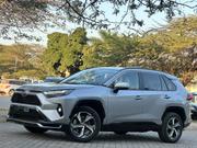 Toyota RAV4 2023 Silver for sale