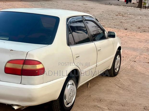 Toyota Corolla 2000 White