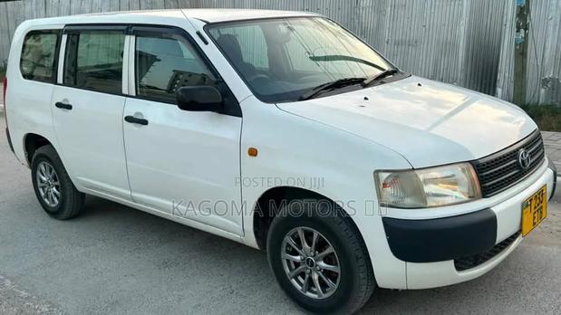 Toyota Probox 2009 Pearl