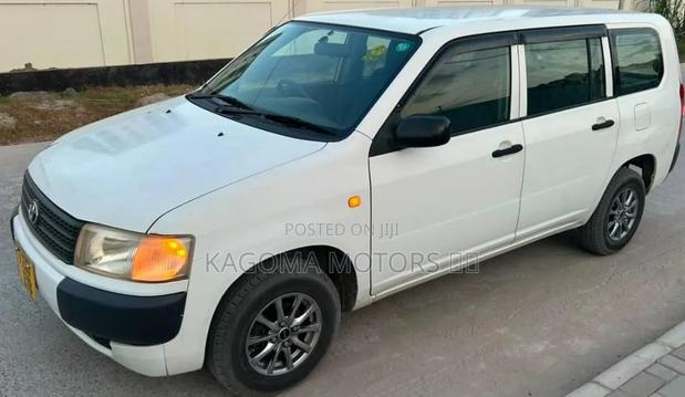 Toyota Probox 2009 Pearl