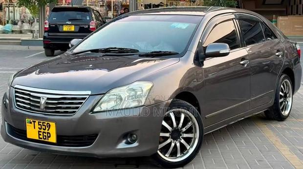 Toyota Premio 2009 Gray