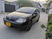 Toyota Allex 2003 Black for sale