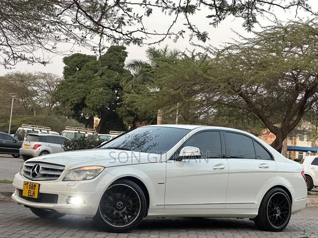 Mercedes-Benz C-Class 2010 Pearl