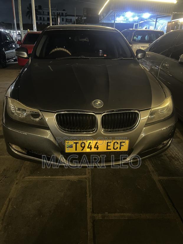 BMW 3 Series 316i RWD 2010 Gray