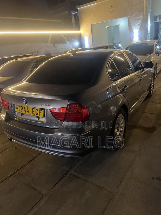 BMW 3 Series 316i RWD 2010 Gray