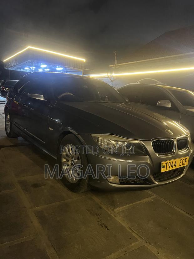 BMW 3 Series 316i RWD 2010 Gray