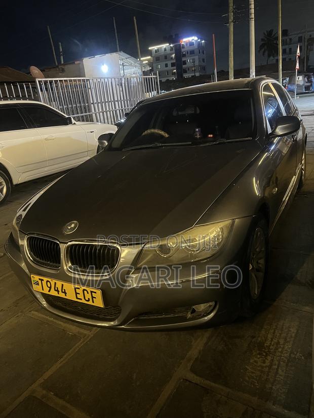 BMW 3 Series 316i RWD 2010 Gray