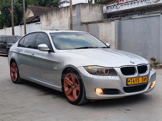 BMW 320i 2010 Silver