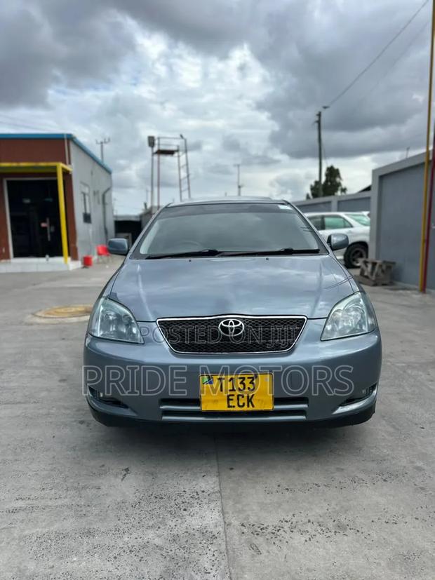 Toyota 4-Runner 4.7 2003 Gray