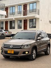 Volkswagen Tiguan 2013 Brown for sale