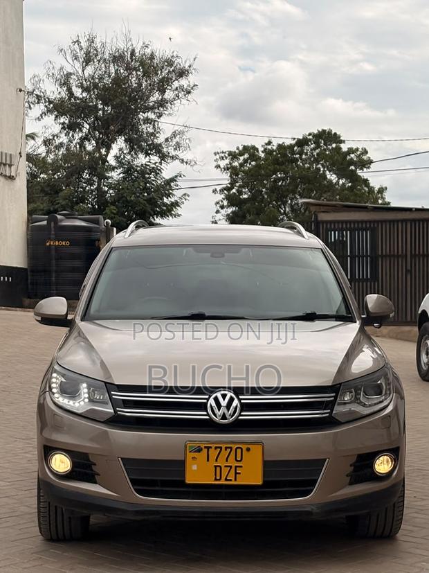 Volkswagen Tiguan 2013 Brown