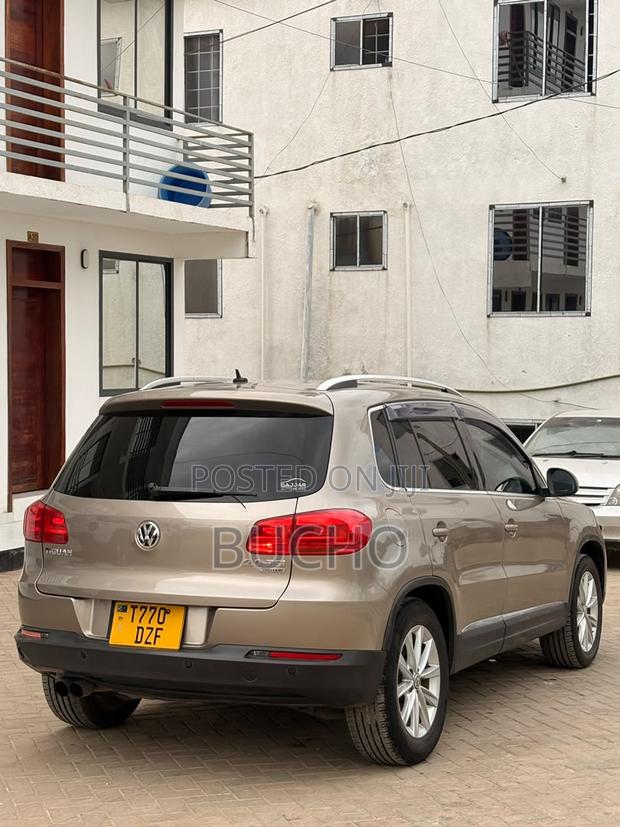 Volkswagen Tiguan 2013 Brown